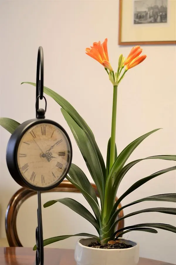Il Palazzo Del Cardinale Bed & Breakfast Montalcino 3*,